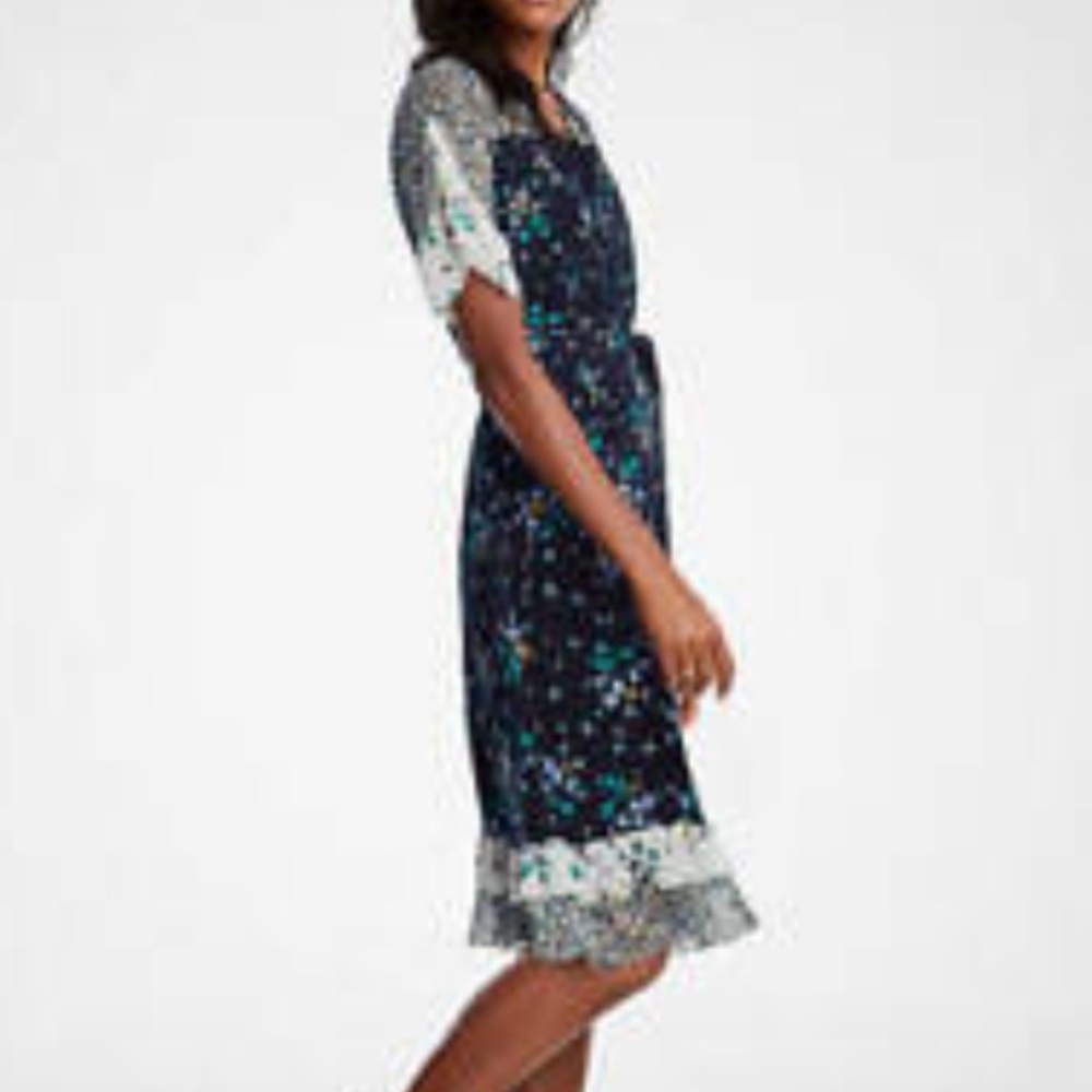 Ann Taylor Mixed Floral Flounce Dress In Night Sky View 2